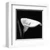 Calla III-null-Framed Art Print