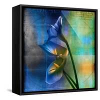 Calla Lilies and Colorful Patterns-Colin Anderson-Framed Stretched Canvas