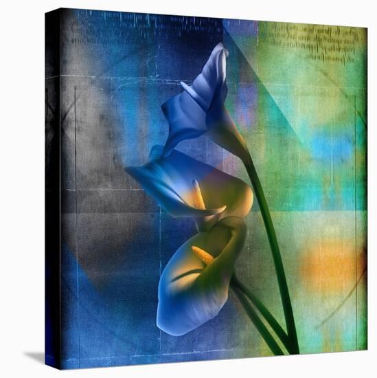 Calla Lilies and Colorful Patterns-Colin Anderson-Stretched Canvas