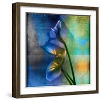 Calla Lilies and Colorful Patterns-Colin Anderson-Framed Photographic Print