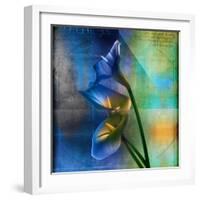 Calla Lilies and Colorful Patterns-Colin Anderson-Framed Photographic Print