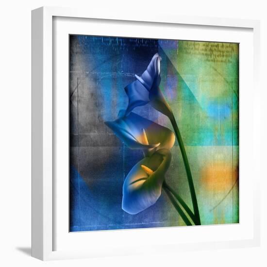 Calla Lilies and Colorful Patterns-Colin Anderson-Framed Photographic Print