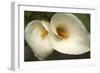 Calla Lilies III-Rita Crane-Framed Art Print