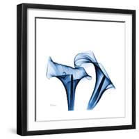 Calla Lilies Indigo-Albert Koetsier-Framed Premium Giclee Print