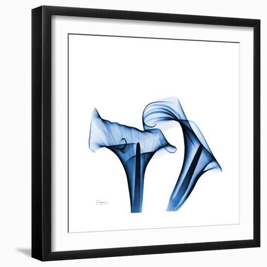 Calla Lilies Indigo-Albert Koetsier-Framed Premium Giclee Print