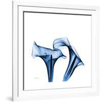 Calla Lilies Indigo-Albert Koetsier-Framed Premium Giclee Print