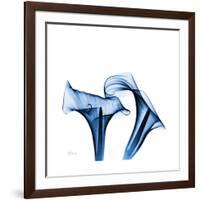 Calla Lilies Indigo-Albert Koetsier-Framed Premium Giclee Print