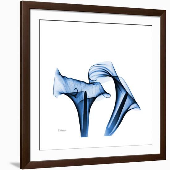 Calla Lilies Indigo-Albert Koetsier-Framed Premium Giclee Print