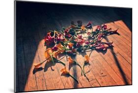 Calla Lilies on Wood Floor-null-Mounted Photo