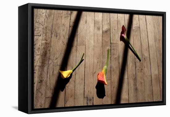 Calla Lilies on Wooden Floor-null-Framed Stretched Canvas