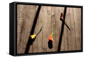 Calla Lilies on Wooden Floor-null-Framed Stretched Canvas