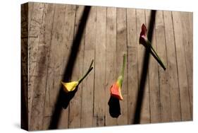 Calla Lilies on Wooden Floor-null-Stretched Canvas