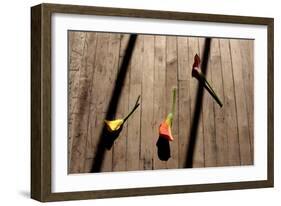 Calla Lilies on Wooden Floor-null-Framed Photo