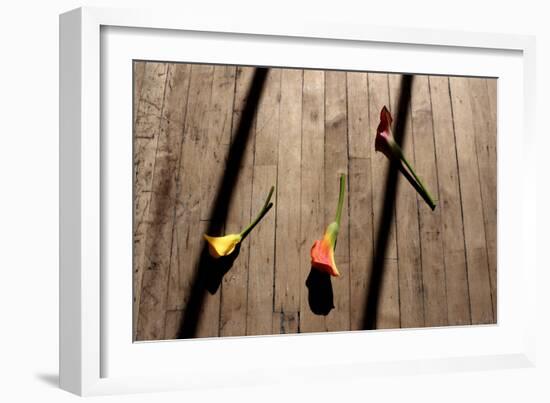 Calla Lilies on Wooden Floor-null-Framed Photo