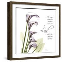 Calla Lilies Remember-Albert Koetsier-Framed Photographic Print