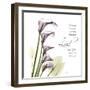 Calla Lilies Remember-Albert Koetsier-Framed Photographic Print