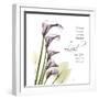 Calla Lilies Remember-Albert Koetsier-Framed Photographic Print