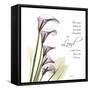 Calla Lilies Remember-Albert Koetsier-Framed Stretched Canvas