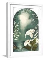 Calla Lilies, Snowbells-null-Framed Art Print