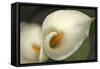 Calla Lilies V-Rita Crane-Framed Stretched Canvas