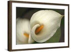 Calla Lilies V-Rita Crane-Framed Photographic Print