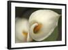 Calla Lilies V-Rita Crane-Framed Photographic Print