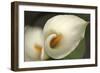 Calla Lilies V-Rita Crane-Framed Photographic Print