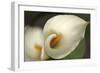 Calla Lilies V-Rita Crane-Framed Photographic Print