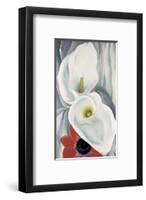 Calla Lilies with Red Anemone, 1928-Georgia O'Keeffe-Framed Art Print