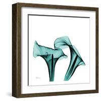 Calla Lilies-Albert Koestsier-Framed Art Print