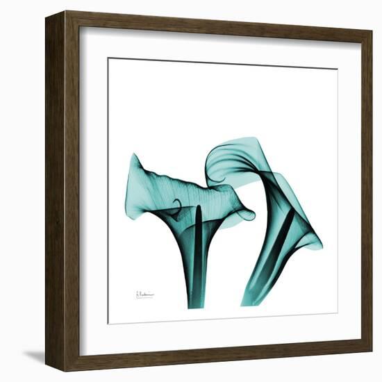 Calla Lilies-Albert Koestsier-Framed Art Print