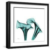 Calla Lilies-Albert Koestsier-Framed Art Print