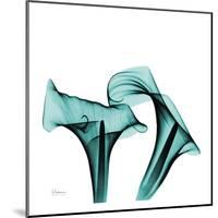 Calla Lilies-Albert Koestsier-Mounted Art Print