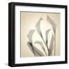 Calla Lilies-Judy Stalus-Framed Art Print