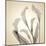 Calla Lilies-Judy Stalus-Mounted Art Print