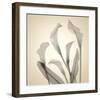 Calla Lilies-Judy Stalus-Framed Art Print