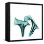 Calla Lilies-Albert Koetsier-Framed Stretched Canvas