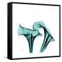 Calla Lilies-Albert Koetsier-Framed Stretched Canvas