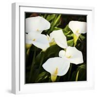 Calla Lilies-Lance Kuehne-Framed Photographic Print