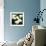 Calla Lilies-Lance Kuehne-Framed Photographic Print displayed on a wall