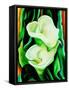 Calla lilies-Hyunah Kim-Framed Stretched Canvas