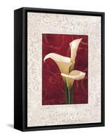 Calla Lilies-John Seba-Framed Stretched Canvas