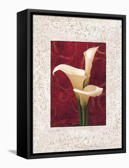 Calla Lilies-John Seba-Framed Stretched Canvas