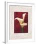 Calla Lilies-John Seba-Framed Art Print