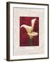 Calla Lilies-John Seba-Framed Art Print