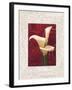 Calla Lilies-John Seba-Framed Art Print