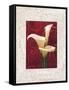 Calla Lilies-John Seba-Framed Stretched Canvas