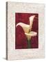 Calla Lilies-John Seba-Stretched Canvas