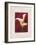 Calla Lilies-John Seba-Framed Art Print