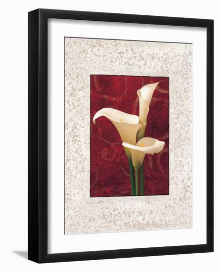 Calla Lilies-John Seba-Framed Art Print